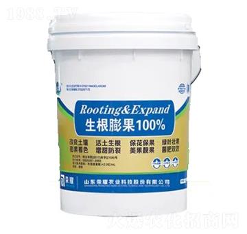 �������-�sҫ�r(n��ng)�I(y��)