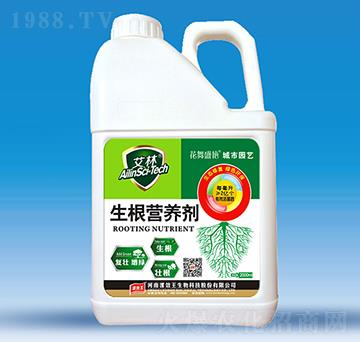 �����I�B(y��ng)��-����-�N������