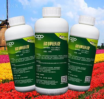 ���ĸҺ-��(��i)�ɿ�