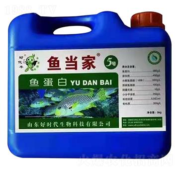 �~����-�~��(d��ng)��5̖(h��o)-�Õr(sh��)������