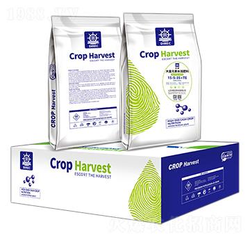 大量元素水溶肥料15-5-35+TE-禾苒生物