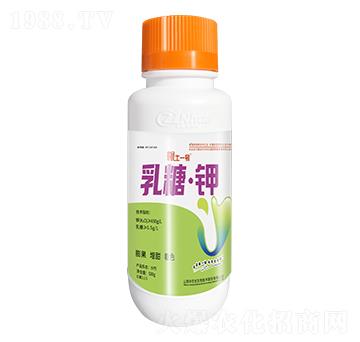 ���ǡ���~���-����һ