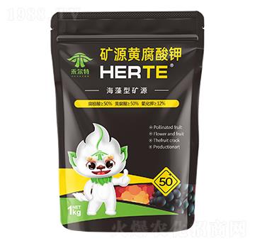 �����͵VԴ�S�����-�̠���