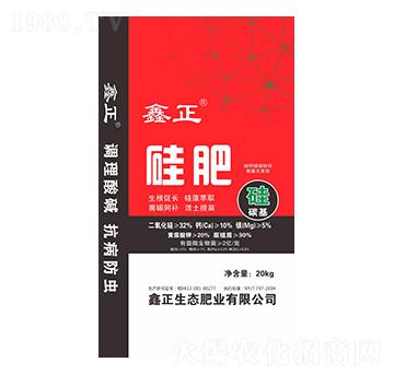 ���-����-ҫѸ�w�r�I(y��)