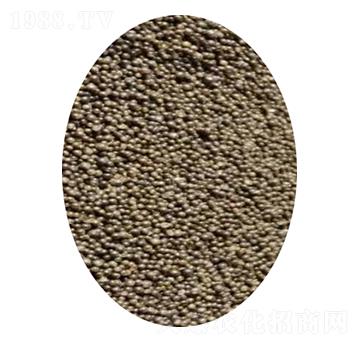 ���Ч3�����أ��w����-��ɳ��-���컯�r�Y