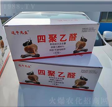 80%�ľ���ȩ-��ţ����-����ֲ��