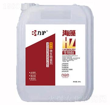 �����΢�������-��������