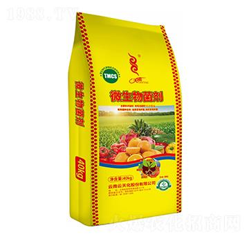 ΢�������-���v����