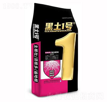 ����������ԏͺϷ���-����1̖