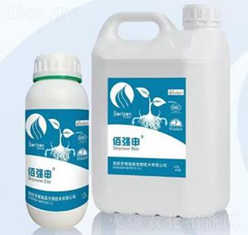 �ۏ���-�����m��