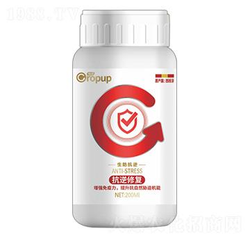 ����������~���-���Z-�ƈD�ع�