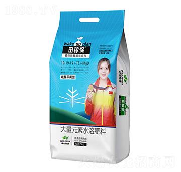 ���ѡ�ƽ�����L�ʹ���Ԫ��ˮ�ܷ�19-19-19+TE+MgO-��ڱ�