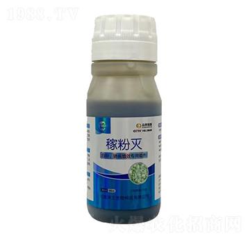 �׷��P����Ч��������-�ڷۜ�-�ډѴT�S-��������