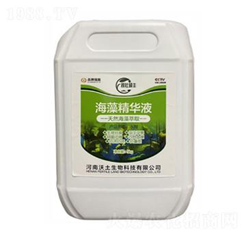 ���徫�AҺ-��������