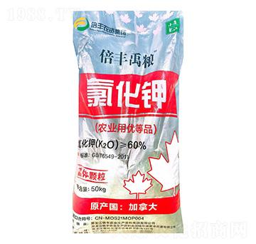 �r�I(y��)���Ȼ�⛣����w�w����-���S���Z-���S�r�I(y��)