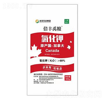 �r�I(y��)���Ȼ��-���S���Z-���S�r�I(y��)