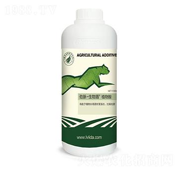 ֲ����-���}�����-�G���_(d��)