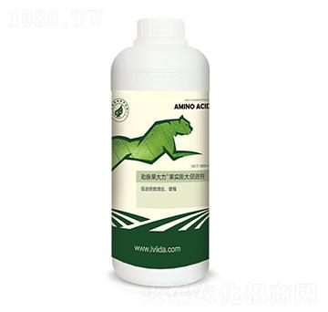 ���������M��-���}������-�G���_