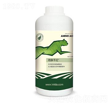 含氨基酸水溶肥料-勁脈千紅-綠力達(dá)