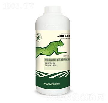 �z�ҹ������ЙC�-���}�G������-�G���_