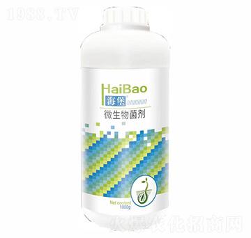 ����΢�������-����(r��n)��