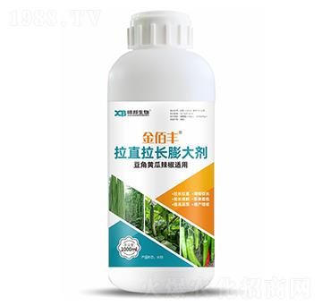 �����S�������m����ֱ���L(zh��ng)���-����S-�ذ�����