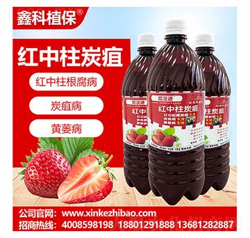 �t����̿���`-�ο�ֲ��