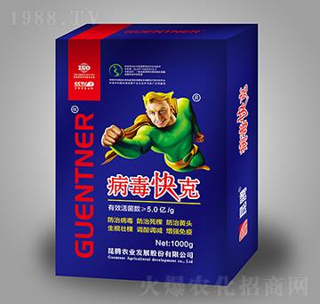 ΢�������-�������-���v����