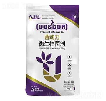 10kg����(d��ng)��-��(y��u)ʩ��