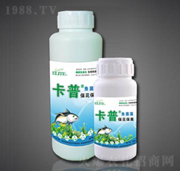 ø���~�����~����-��������-�G�����