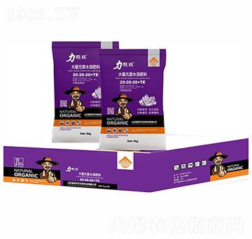 ƽ��I�B(y��ng)�ʹ���Ԫ��ˮ�ܷ���20-20-20+TE-���w��-��ʢ���r(n��ng)