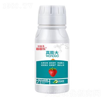 ���������Ԫ��ˮ�ܷ���-ݮݮ��(l��)-�����