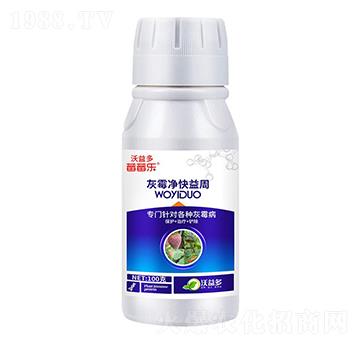 ��ù��������-ݮݮ��(l��)-�����