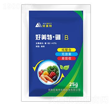 �����ء���-������