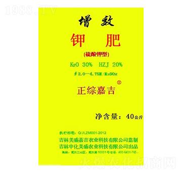 ��Ч⛷�-���C�μ�-��ʢ�μ�