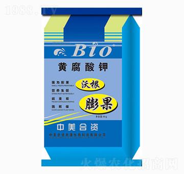 �S�����-�R���S�r�I(y��)