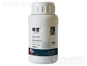 ����Ԫ����B��-Ψ�u