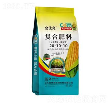 ��������������͏�(f��)�Ϸ���20-10-10-����(y��u)��