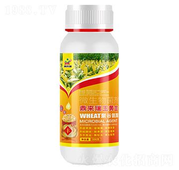 ����(l��i)�����S��΢�������