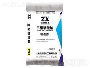 ���������cSTPP-��(chu��ng)���S