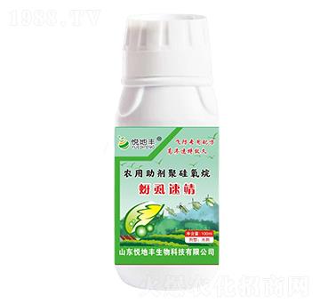 �r(n��ng)�������۹�����-��ʭ�پ�-�����S