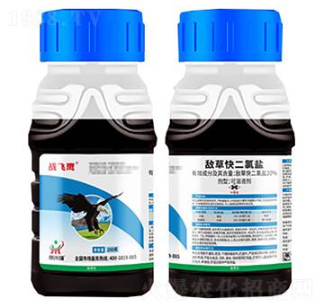 20%���ݿ�����}20