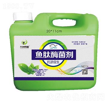 �~��ø���������������-��̩����