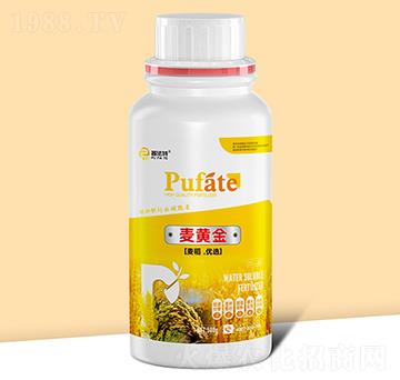 ���S��-�շ���