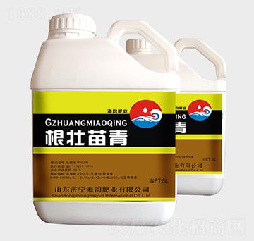 ���������_ʩ��-�������