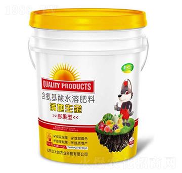 滿地生金-膨果型含氨基酸水溶肥料-乾十三-紅太朗農(nóng)業(yè)