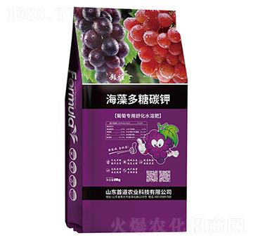 �������̼�-����-�׵��r�I(y��)