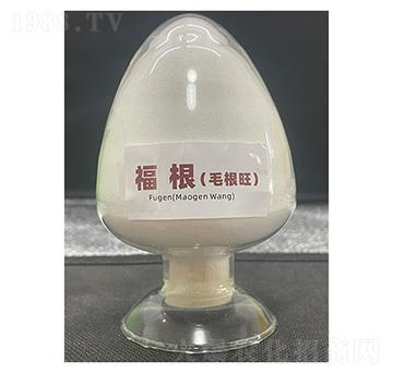 ����(ë����)-��������