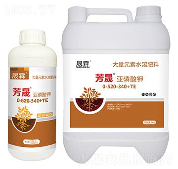 ���ɡ��������-��������