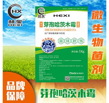 ѿ�߹���ľù-�խt